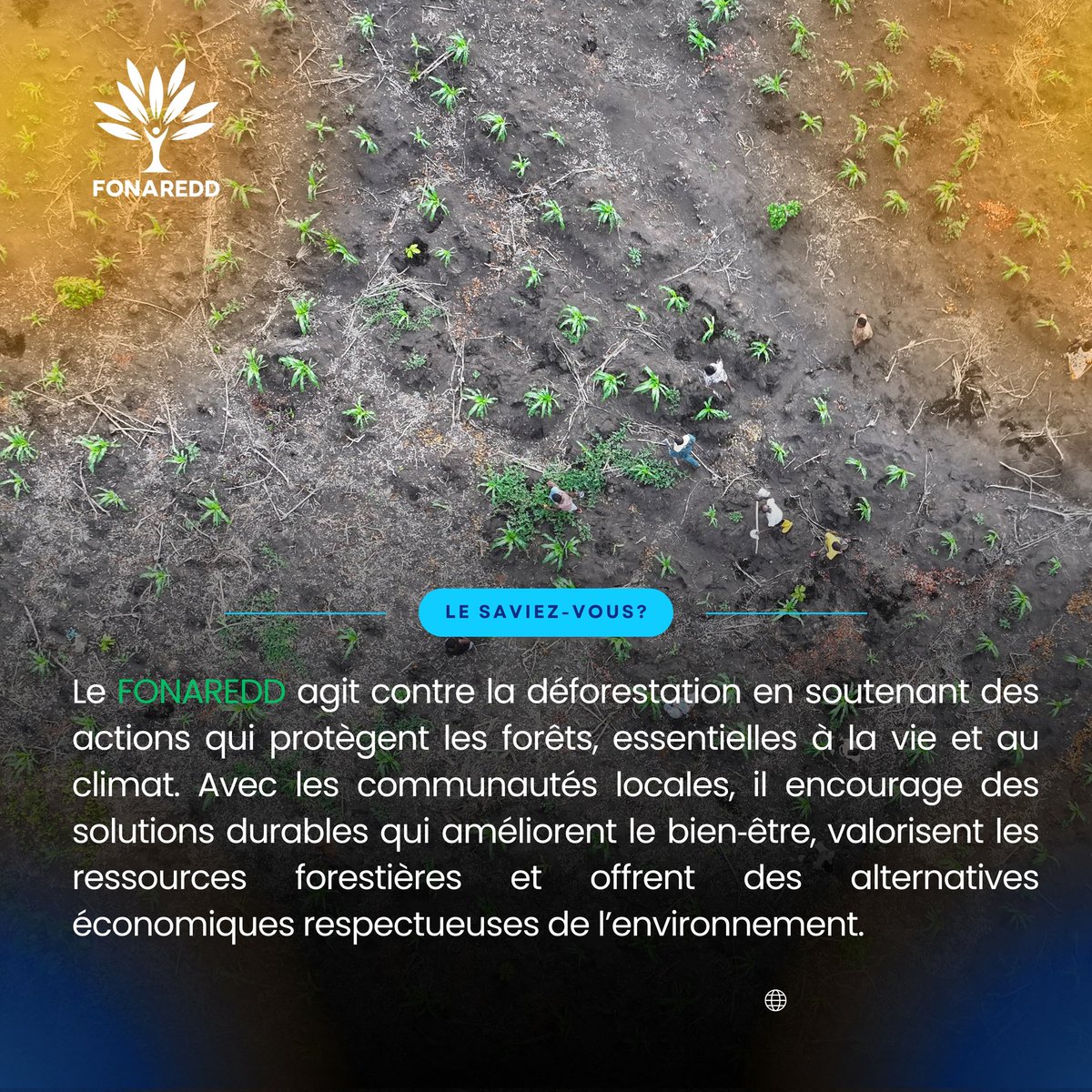 Fonaredd_RDC tweet media