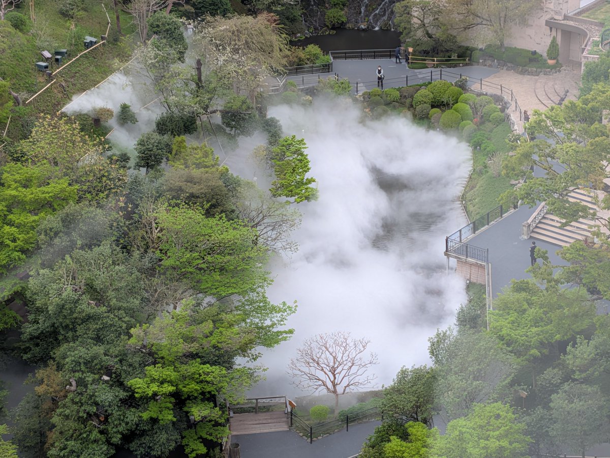 taraco🍊🧂 tweet media