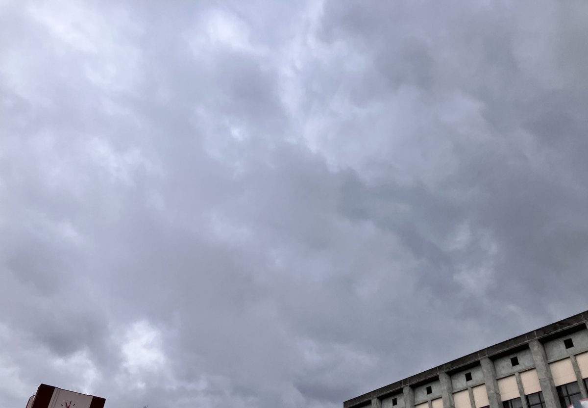 ことぶき。 tweet media