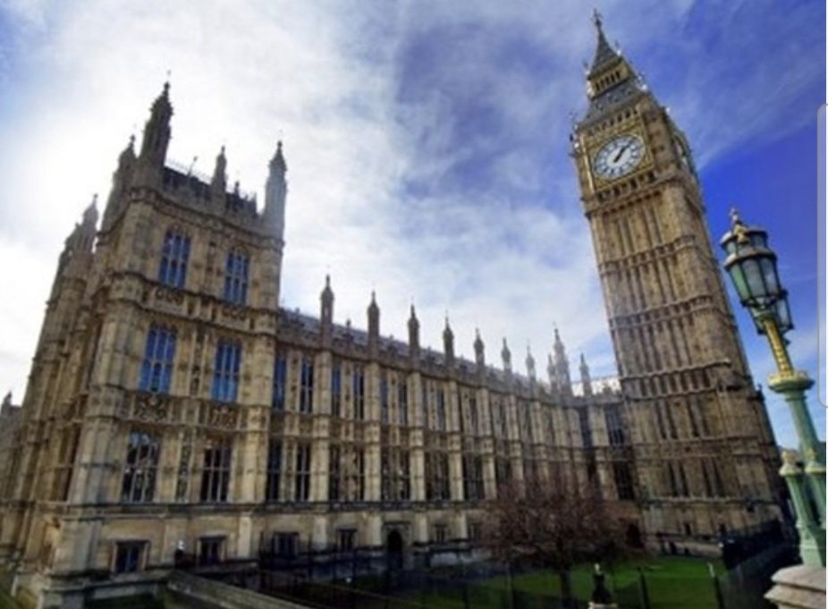 Alethea Bernard tweet media