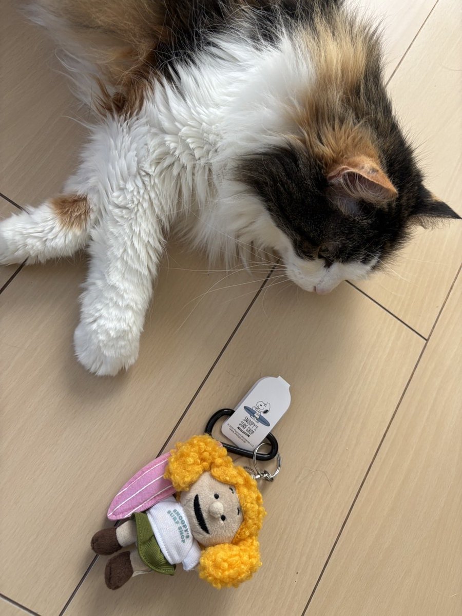 natonato73's tweet photo. 鎌倉の桜を見に行き、小町通りSNOOPY’S SURF SHOPでキーホルダーを購入。なぜか、キャンディちゃんとのコラボ！ https://t.co/G1pwXvd7bB