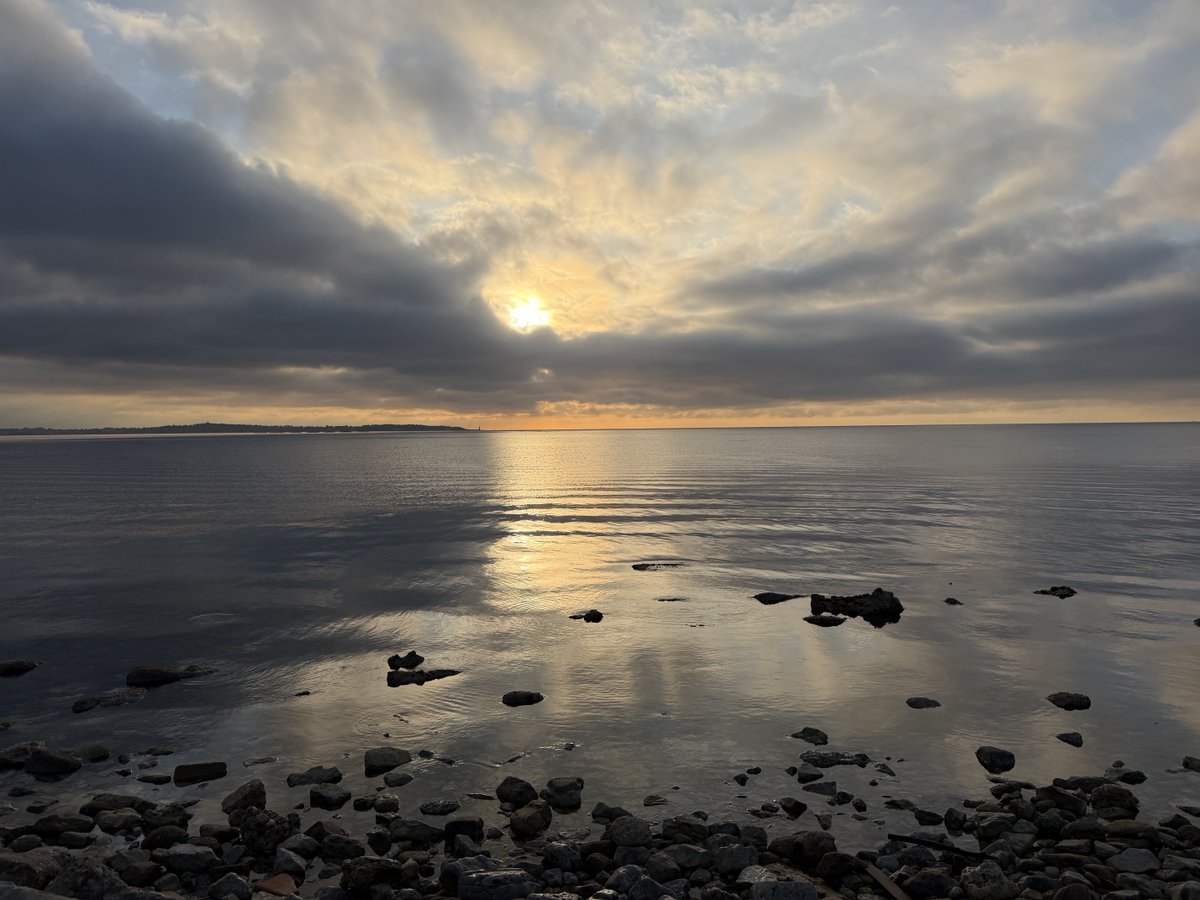 POPEYE 🐟 tweet media