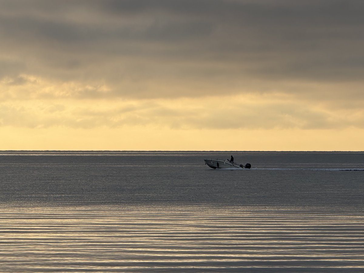 POPEYE 🐟 tweet media