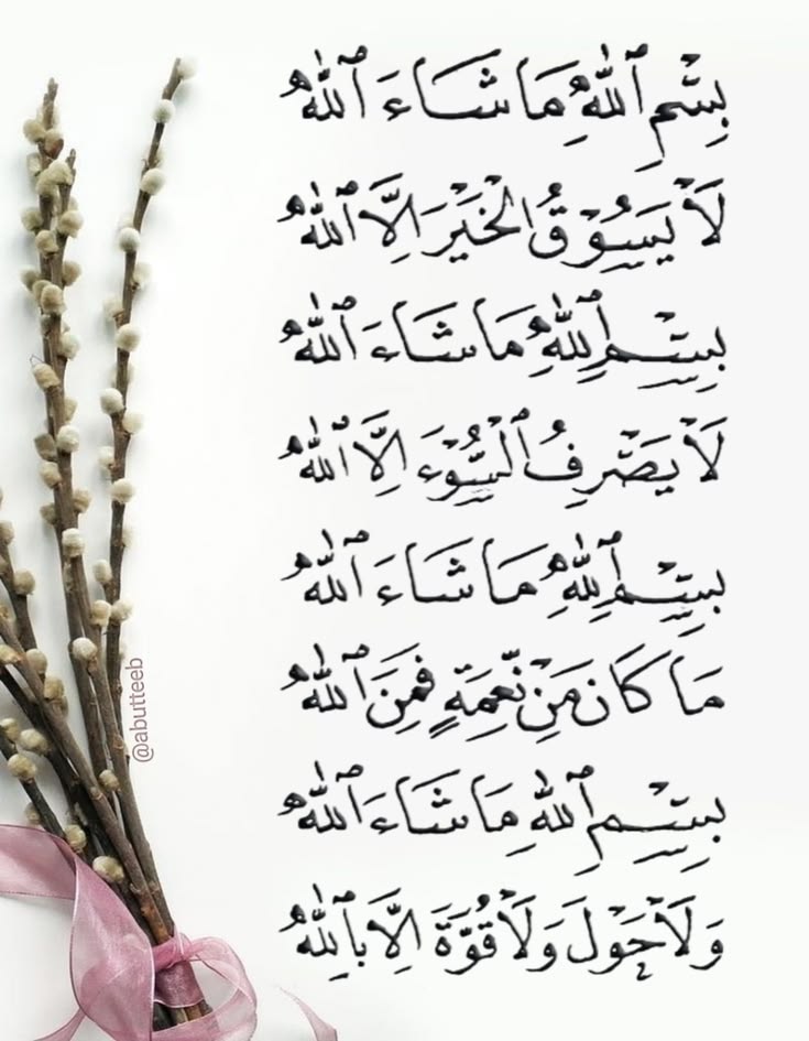 شُمـۈخ tweet media