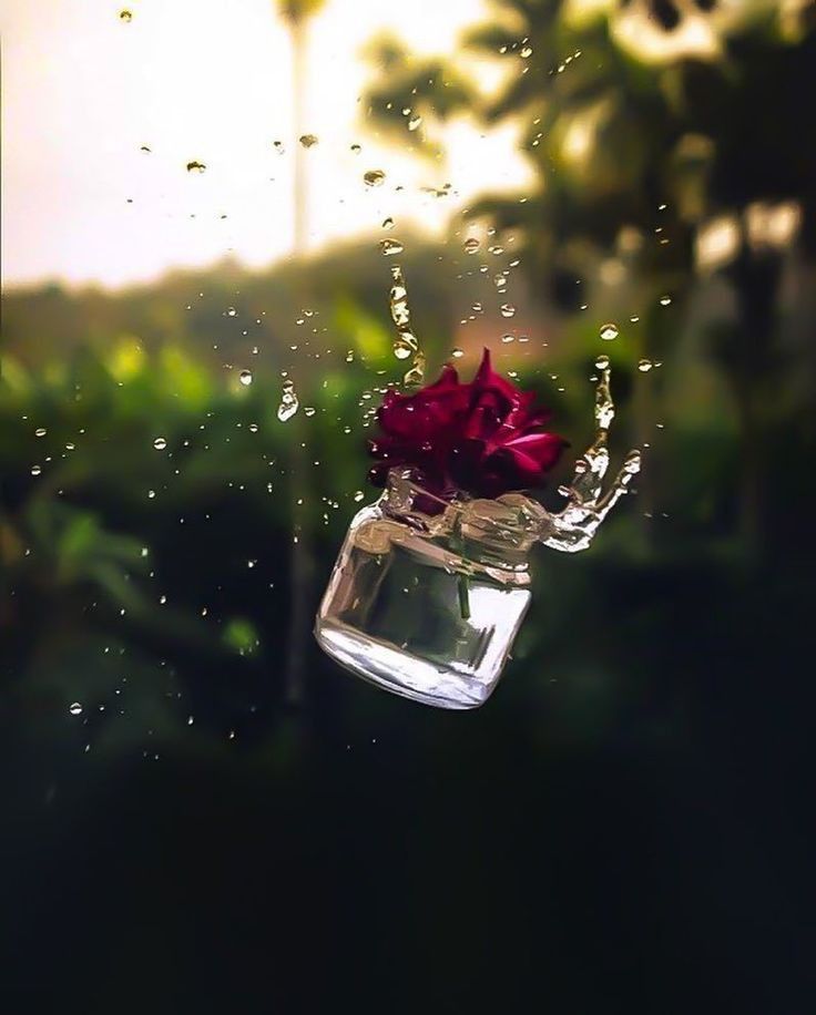 Dreamy Town tweet media