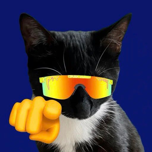 BRUCE(ETH//SOL) tweet media