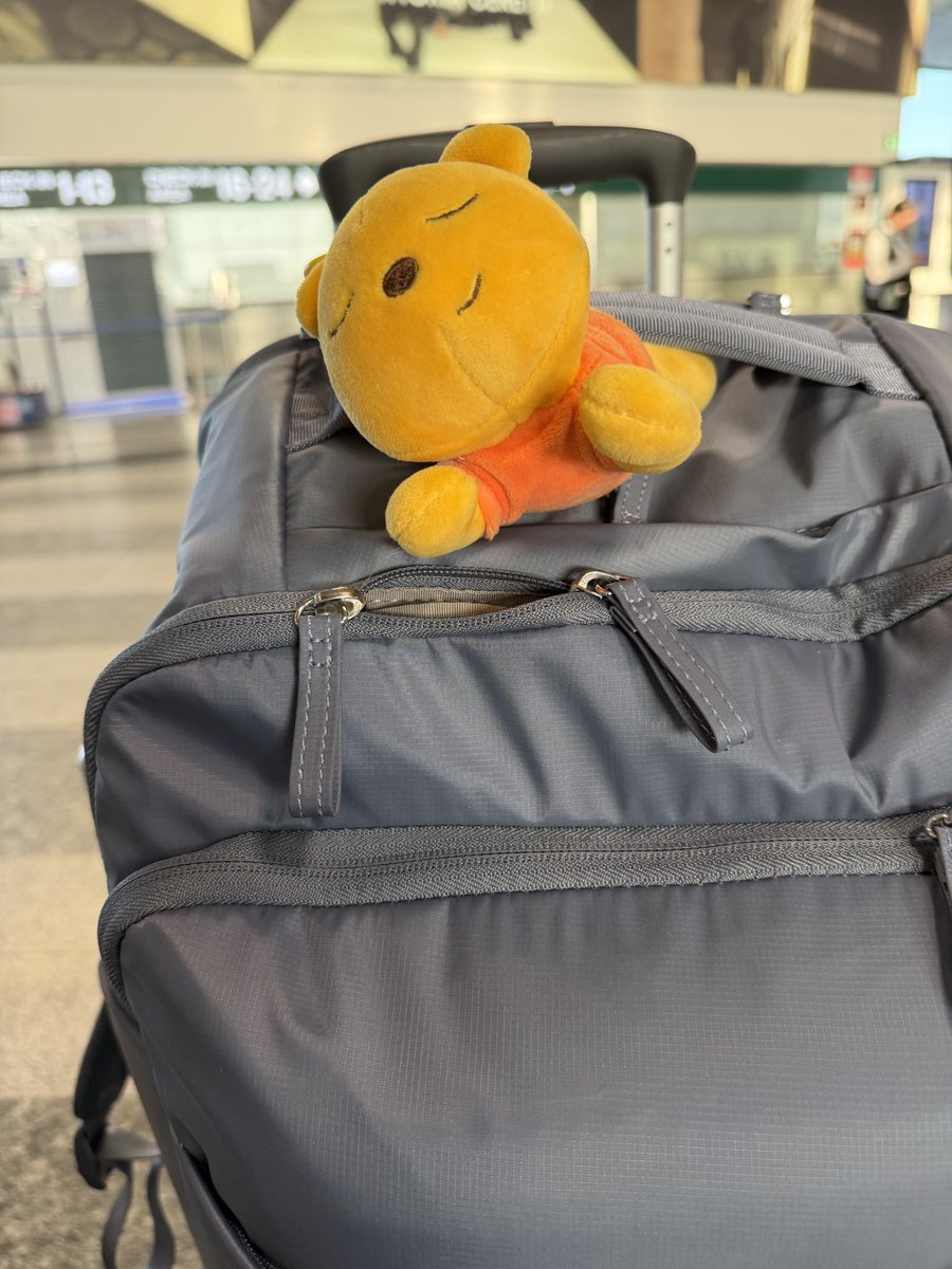 Giulibrivio tweet media