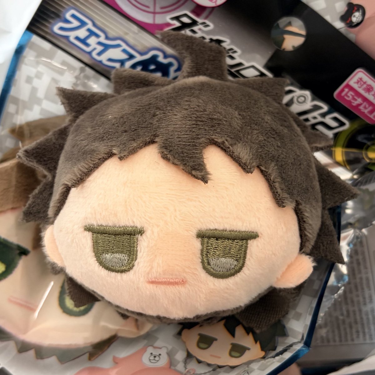 ioiorioio's tweet photo. @lil001211 検索よりお声がけ失礼いたします。
当方フェイスぬいぐるみ 日向を所持しております（外出中につきIDなしの写真で失礼します）。同種狛枝との交換は可能でしょうか？

都内手渡し、郵送ともに可能です。
ご検討いただけますと幸いです。 https://t.co/cyLKJfclkY