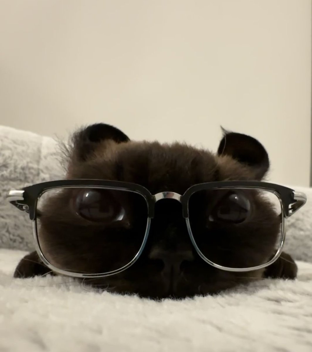 sweet coffee tweet media