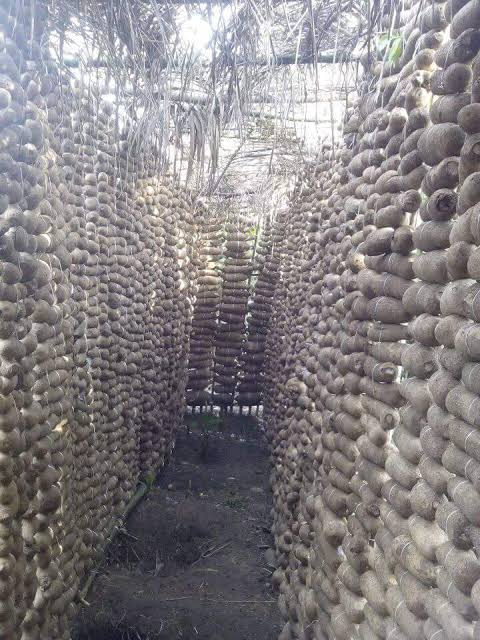 Onwa_Nnewi tweet media