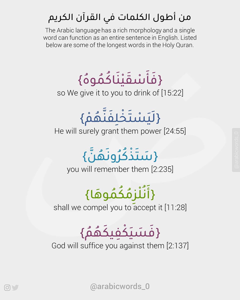 غازي | Ghazi 🇸🇦🇨🇳 tweet media