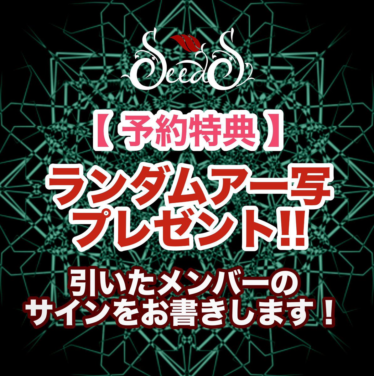 森岳亜弥（SeedS）🌱 tweet media