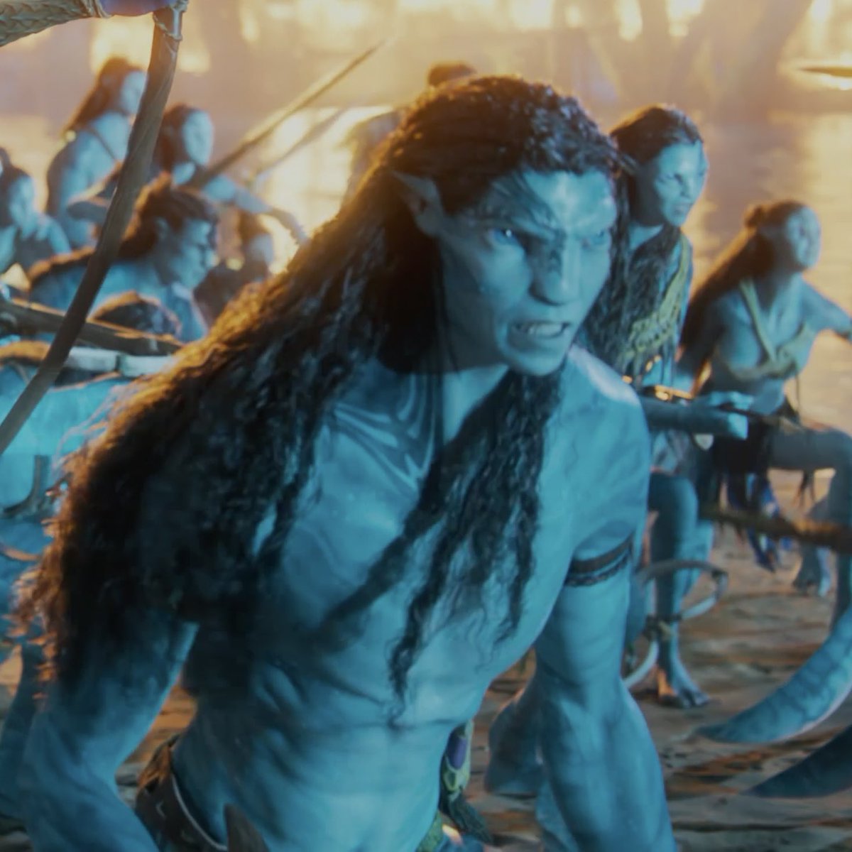 sol ⊹₊🔥⋆｡°✩ tweet media