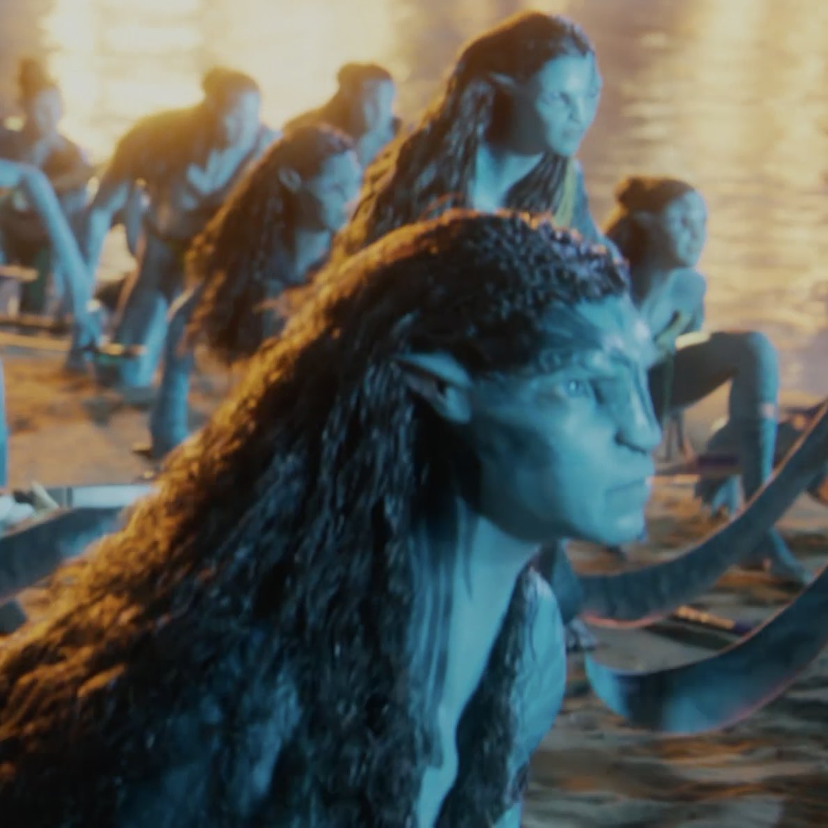 sol ⊹₊🔥⋆｡°✩ tweet media