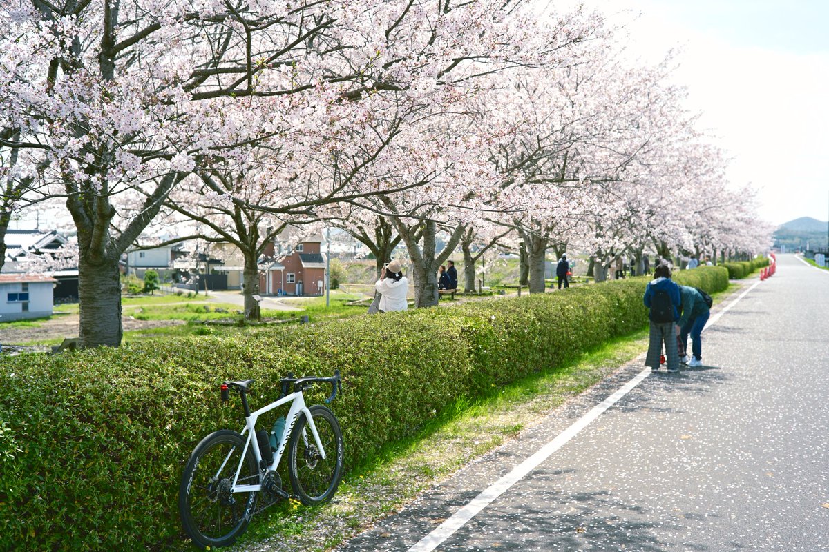 あぎさん@CANYON tweet media