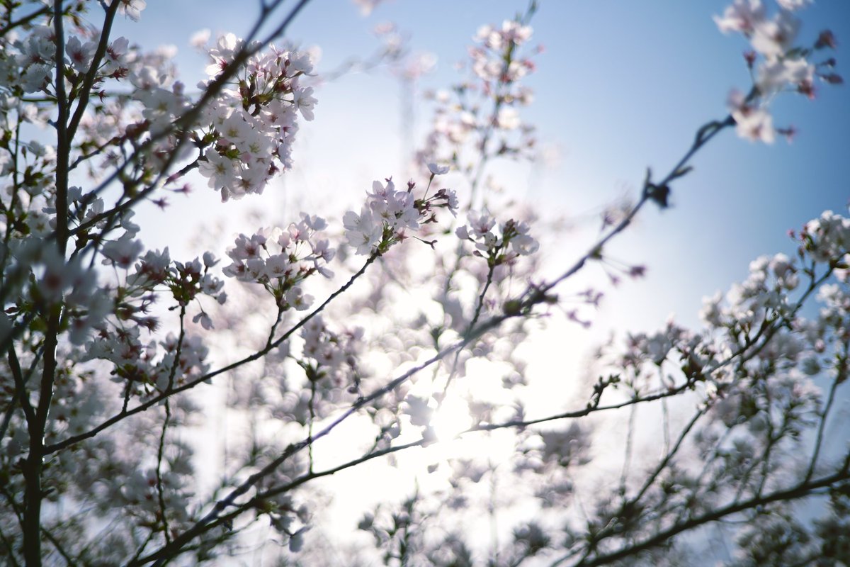 あぎさん@CANYON tweet media