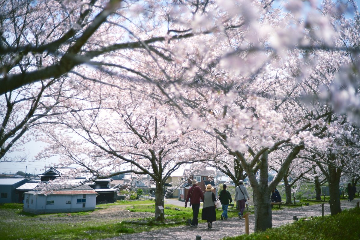 あぎさん@CANYON tweet media
