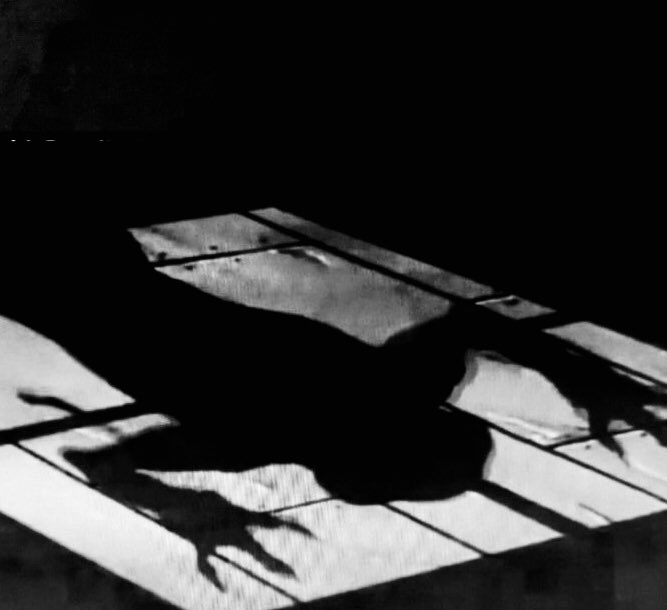 和丸号 (大塚和之) tweet media