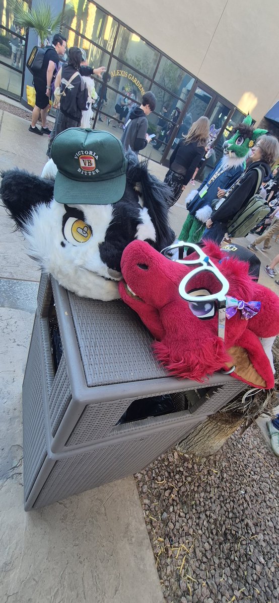 EMOX9/Moxxi X9 tweet media