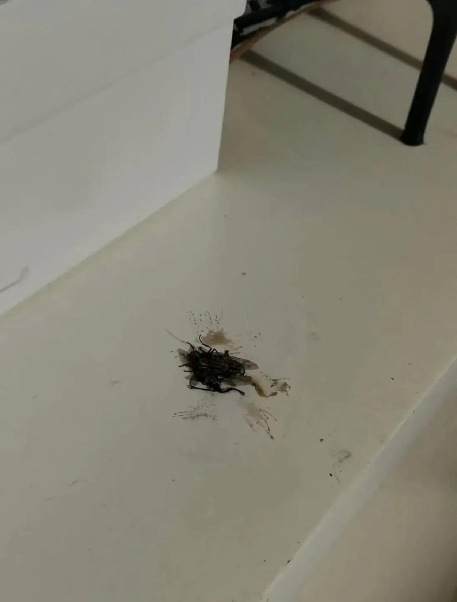 Claire 💙 tweet media