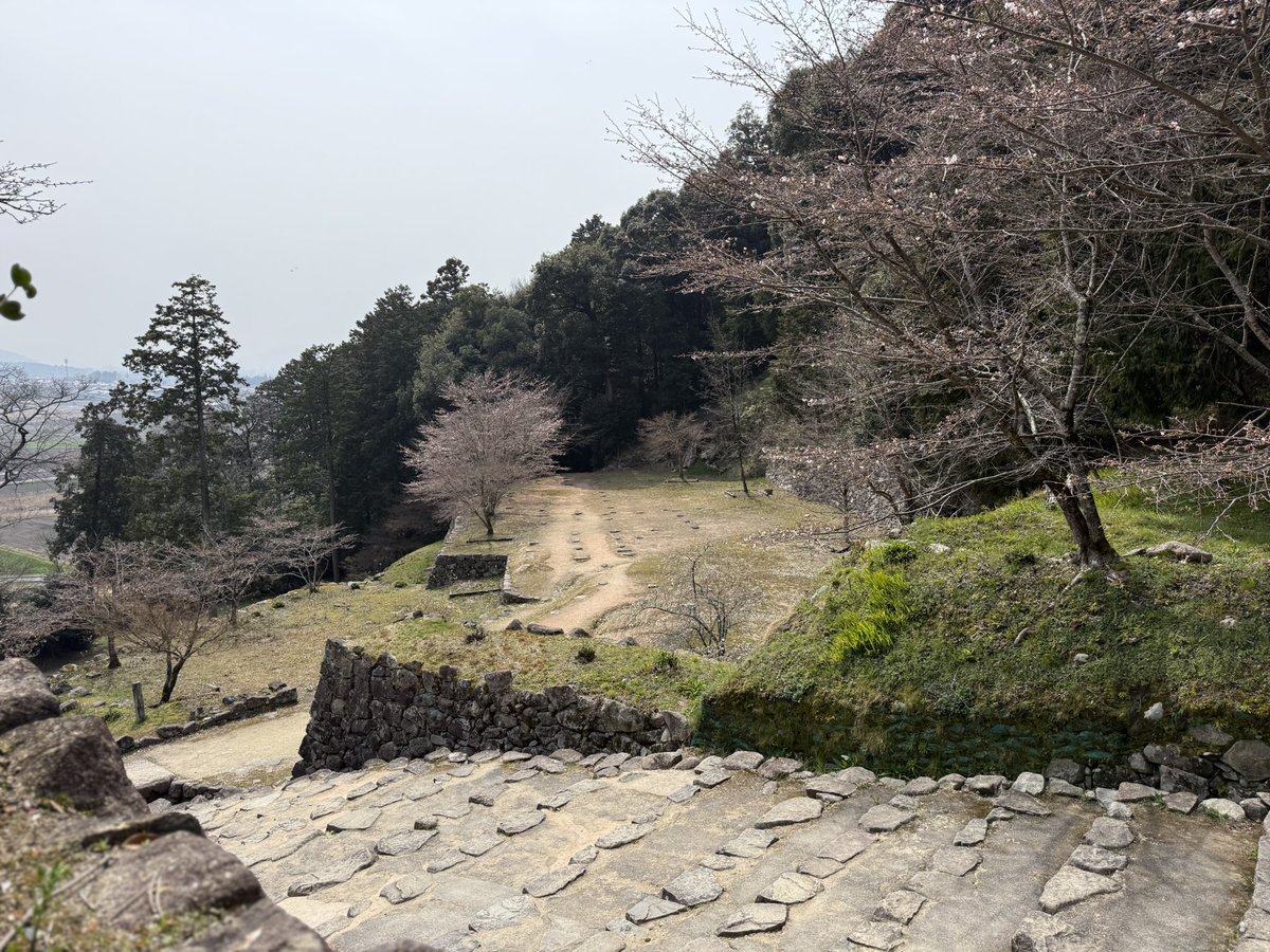 k-masahiro tweet media