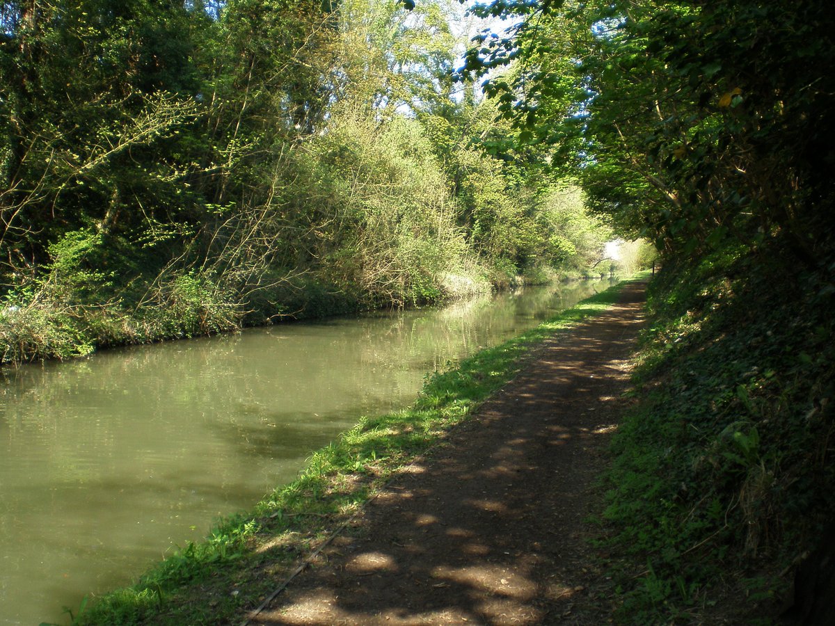 retired_tom's tweet photo. My photos from #April 2009
@CanalRiverTrust #GrandUnionCanal #TringSummit #Bridge #Narrowboat #Reflections
#Canals & #Waterways can provide #Peace & #calm for your own #Wellbeing #Lifesbetterbywater #KeepCanalsAlive https://t.co/pOfoMana7W