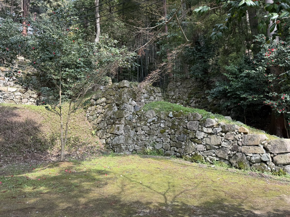 k-masahiro tweet media