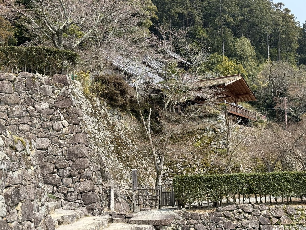 k-masahiro tweet media