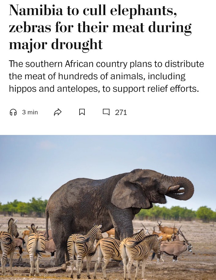 Eminent Intellectual tweet media