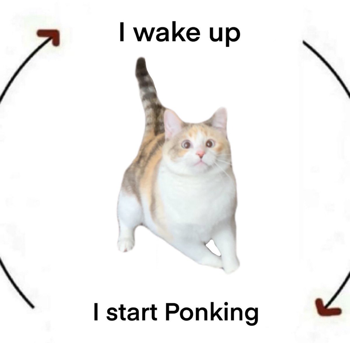 Panko A. Cat’s Mom tweet media