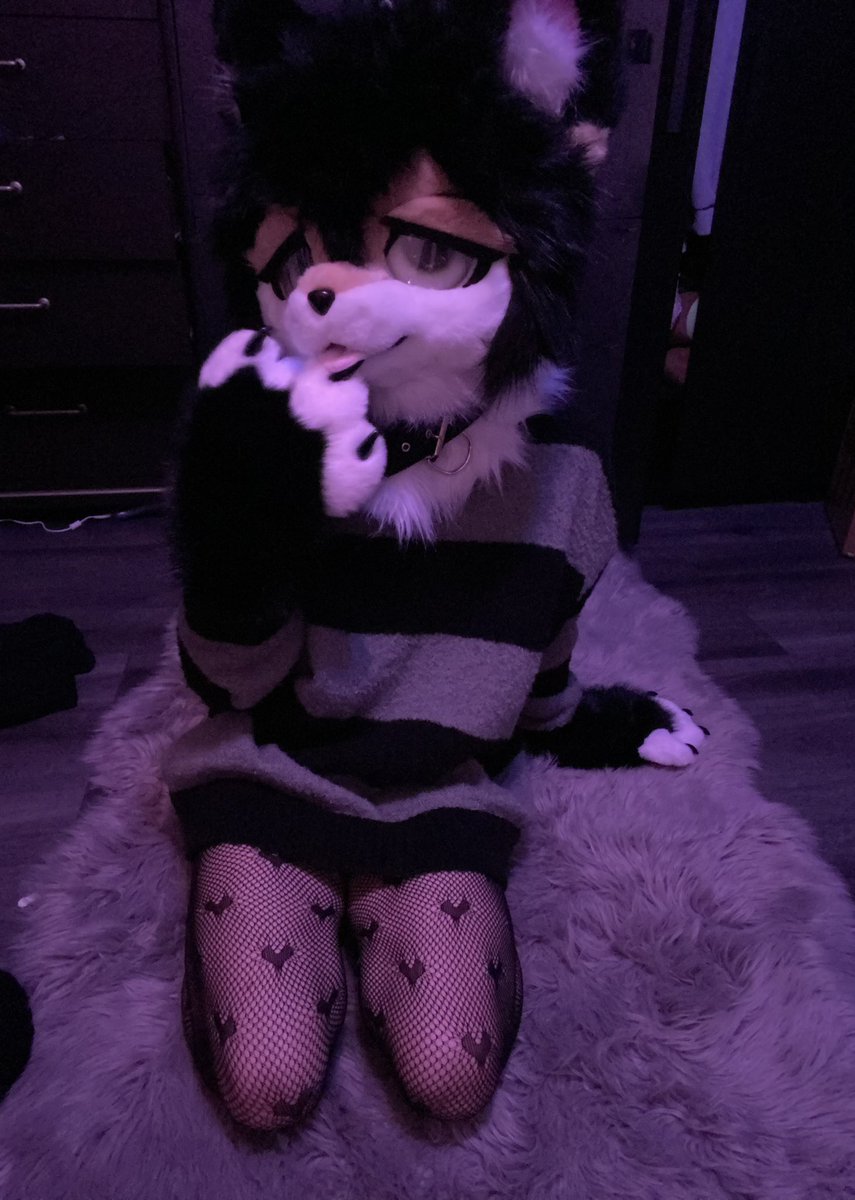 pawlucinations's tweet photo. some paws 🐾

#fursuit #femboy https://t.co/VbYoWV9SbL