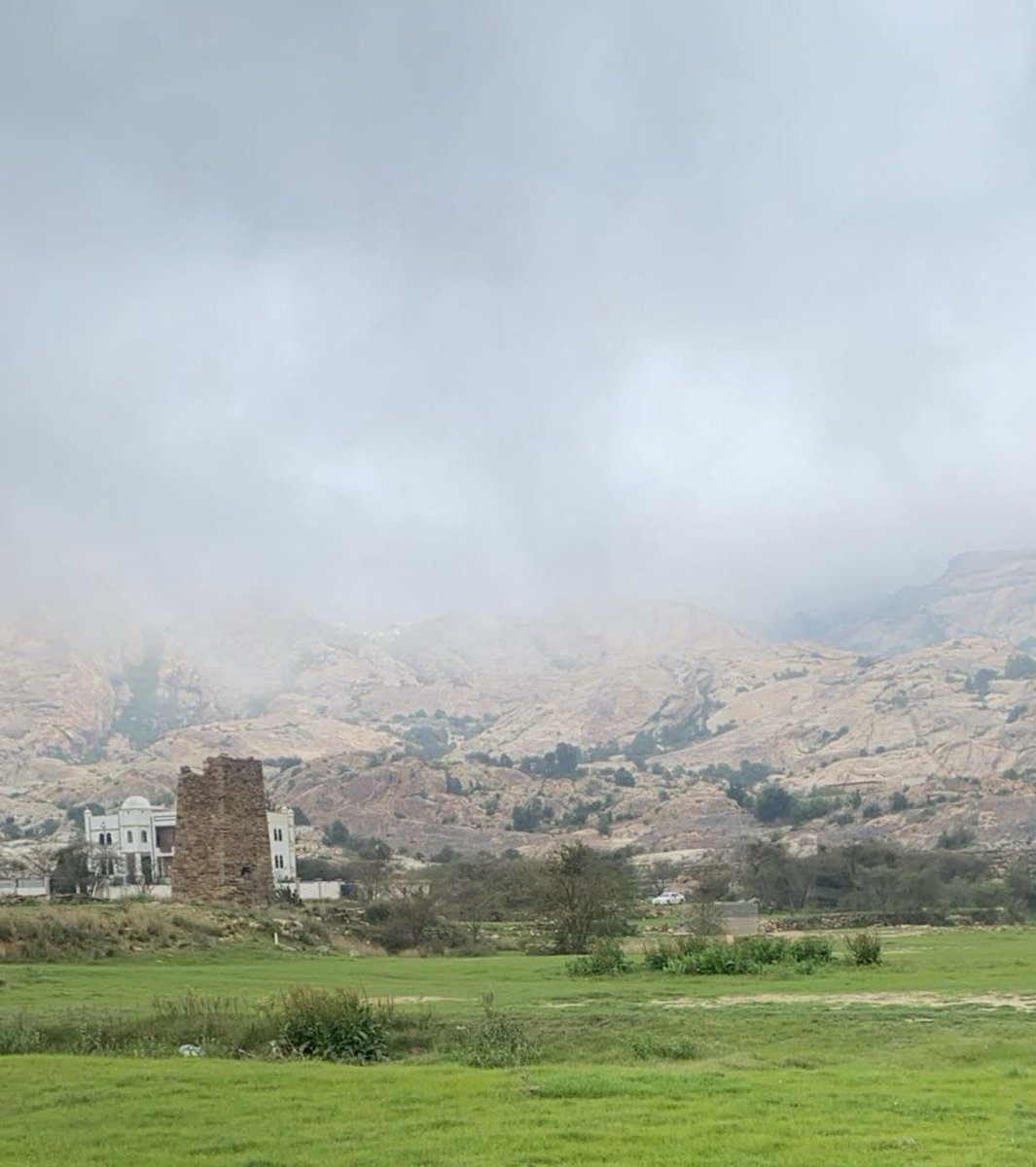 Abdulaziz tweet media