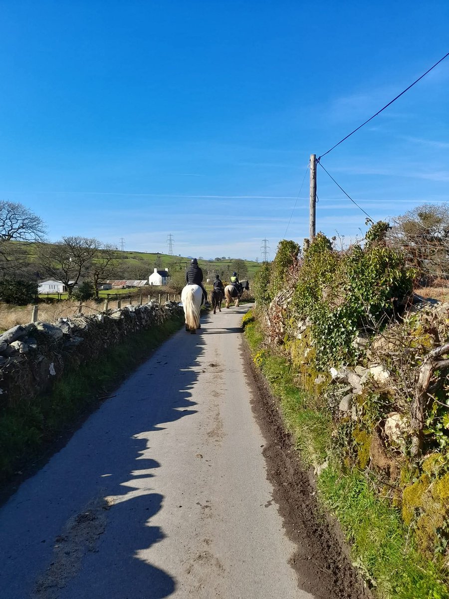 Paul Rees. ex Rucksack. tweet media