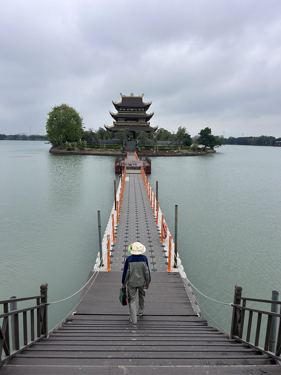 Dilaw 🤌 tweet media