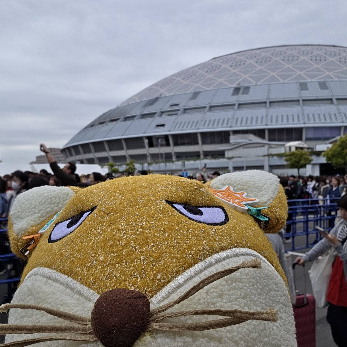 We are ARASHI | ARASHI LIVE TOUR 2026 tweet media