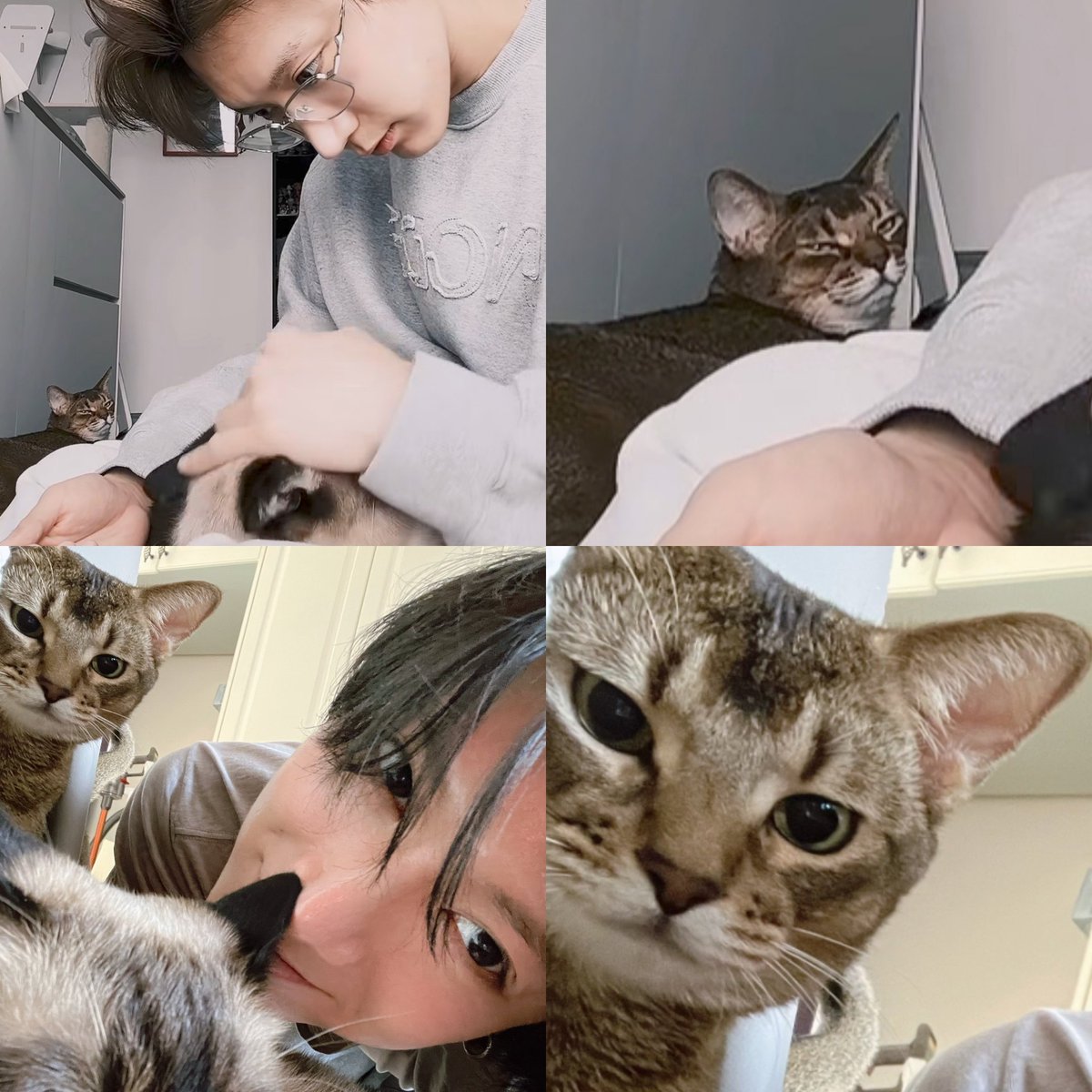 𖹭¹⁴²⁷ tweet media