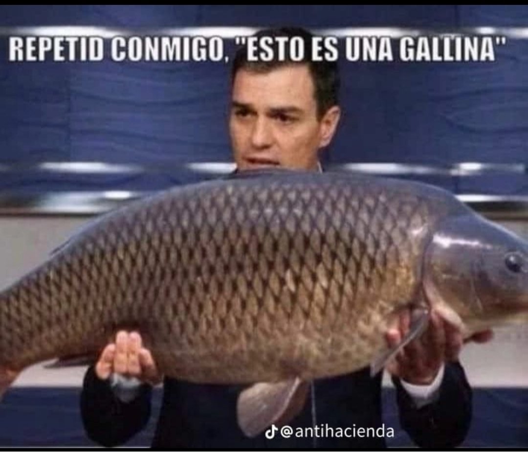 The ex mechanic tweet media