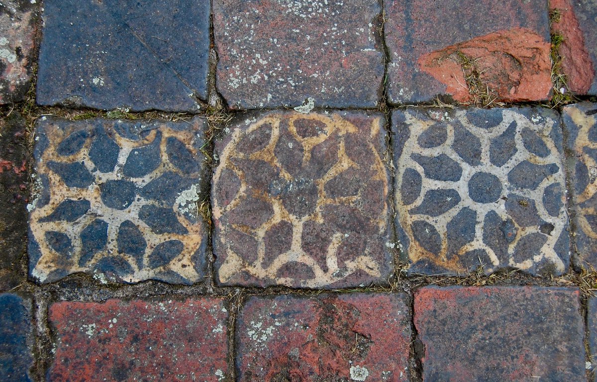 KPW1453's tweet image. In situ medieval floor tiles from Buildwas Abbey in Shropshire.
📸 My own. #TilesOnTuesday #BuildwasAbbey #Shropshire