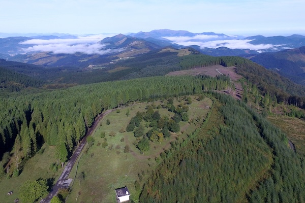 Construccion tweet media