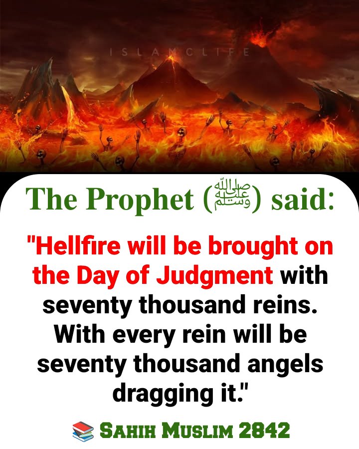 Learn Quran Online From Home 🏡 tweet media