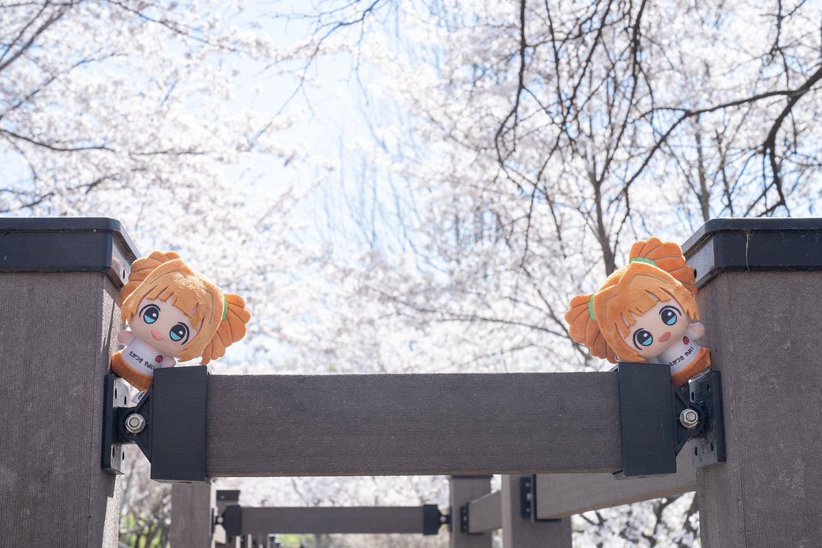 leavantain tweet media