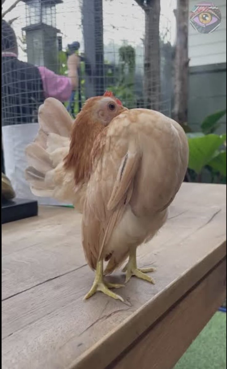 under_score tweet media