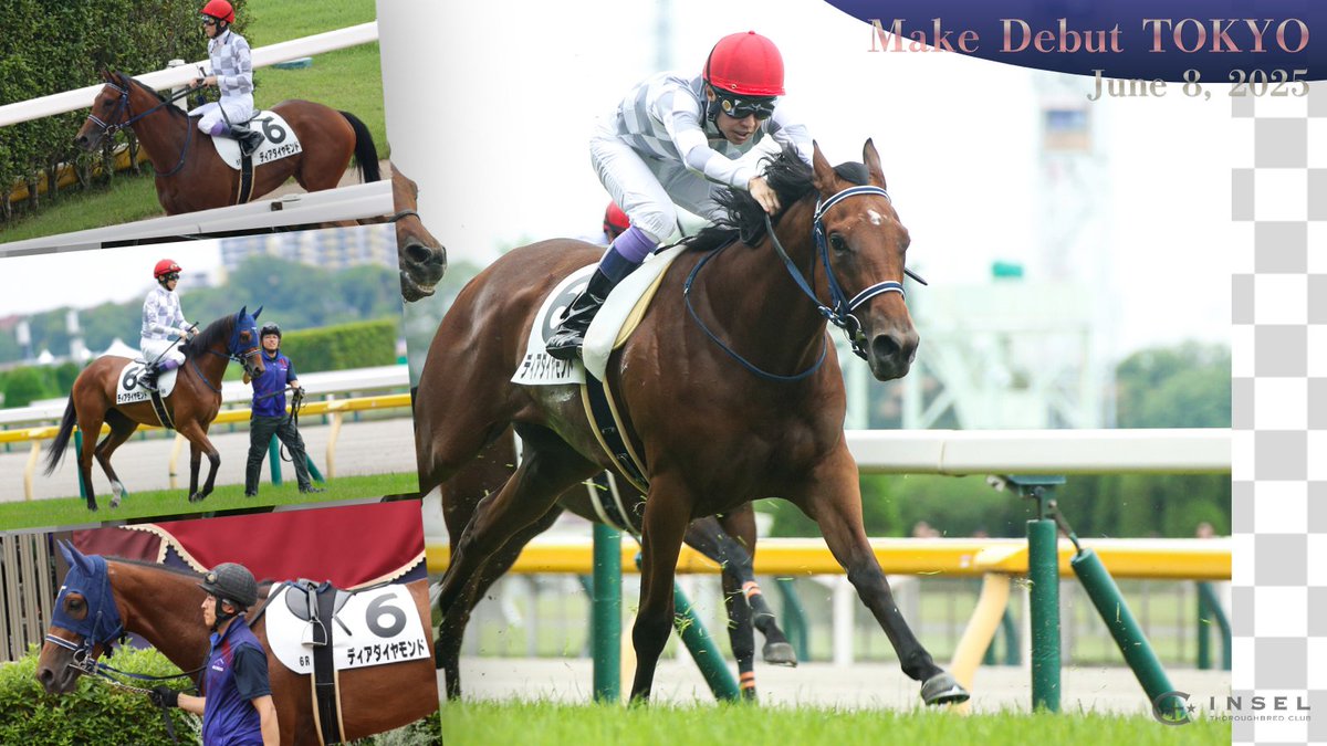 インゼルサラブレッドクラブ tweet media