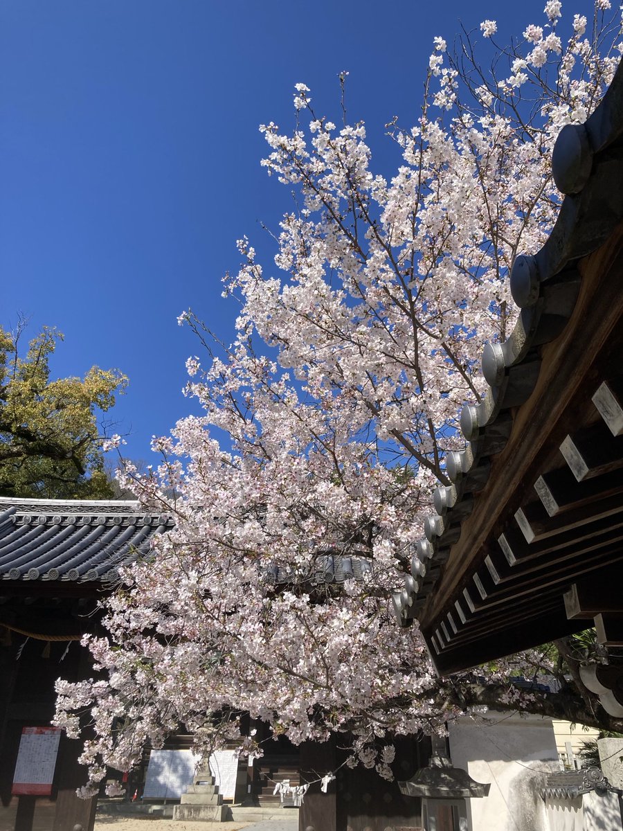 killer prime222 tweet media