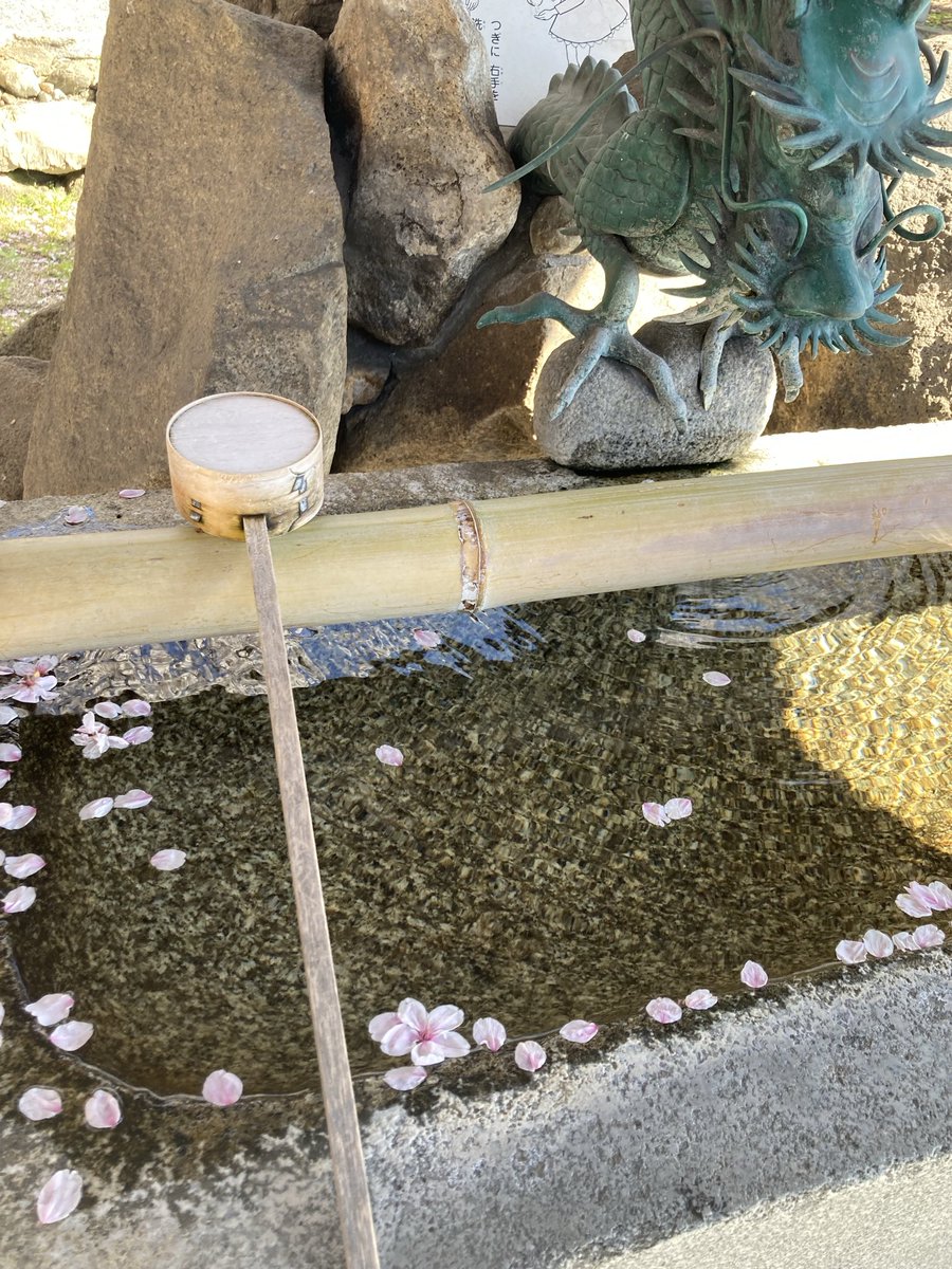 killer prime222 tweet media