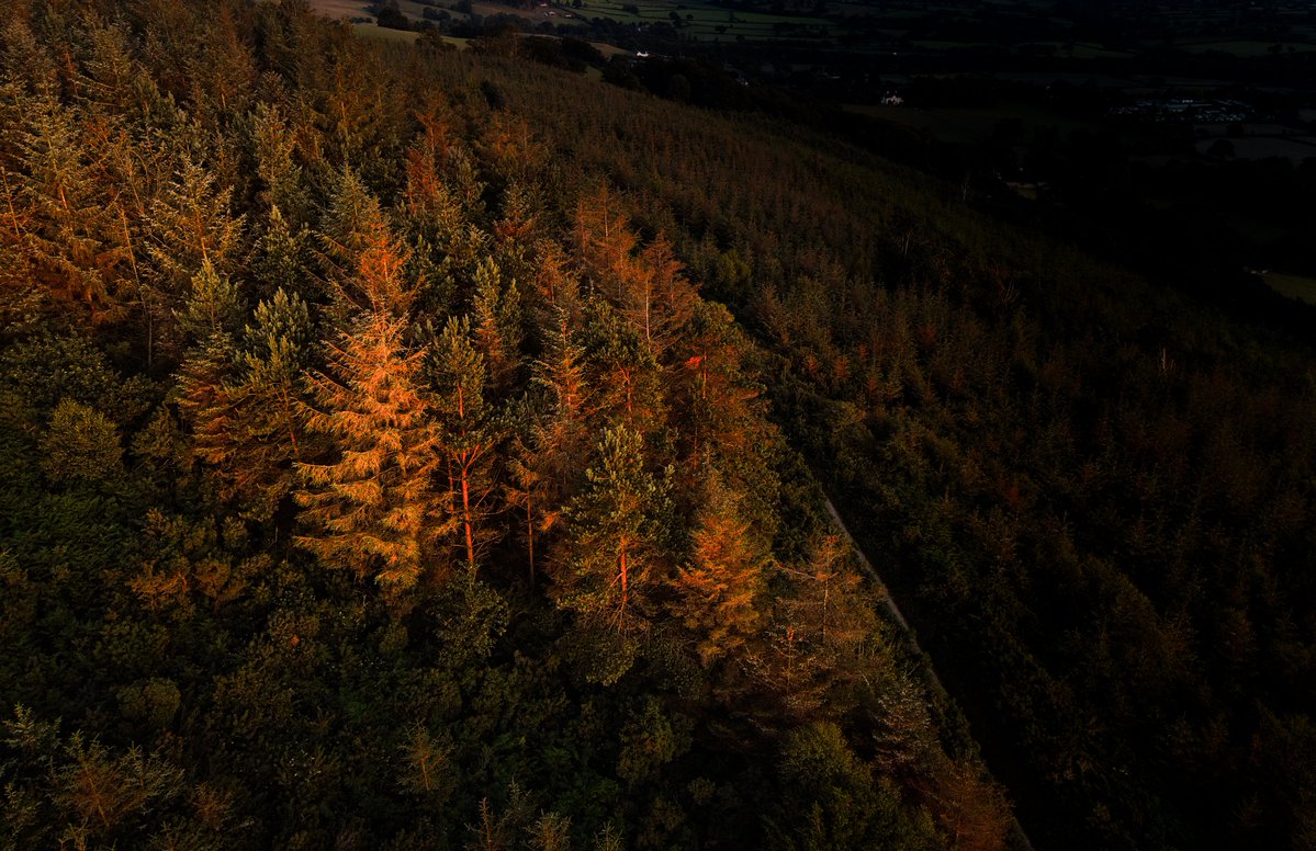 Jeff Richardson tweet media