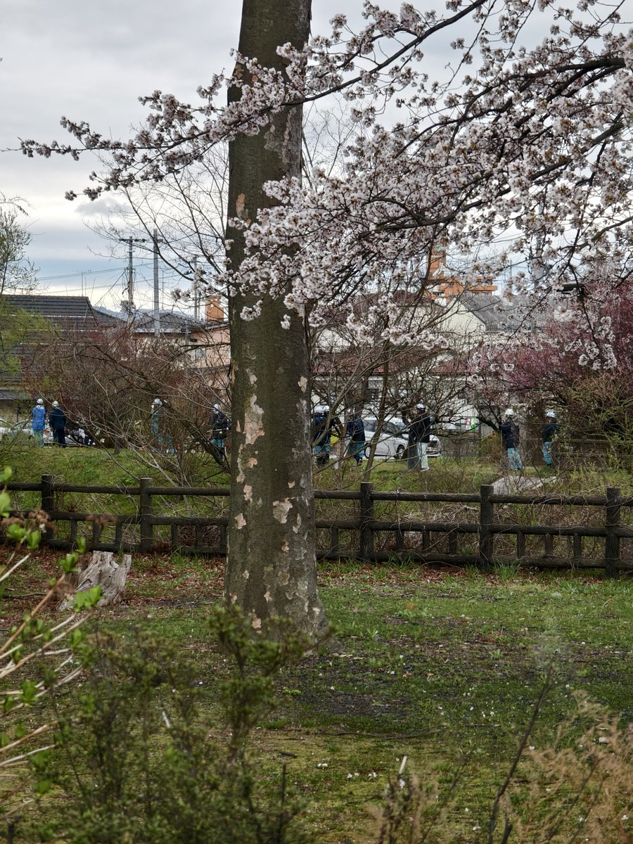 OSKおすけ 8 Gen 16 tweet media