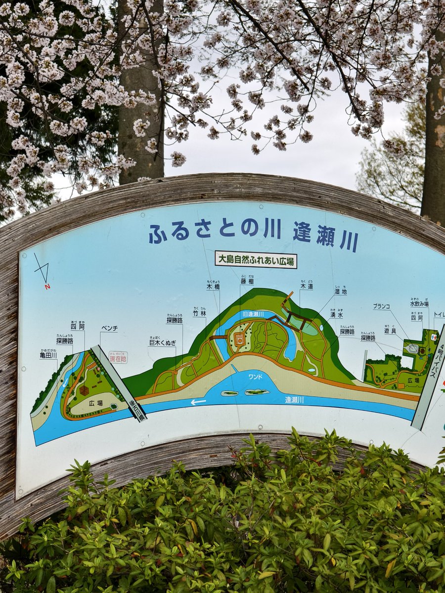 OSKおすけ 8 Gen 16 tweet media