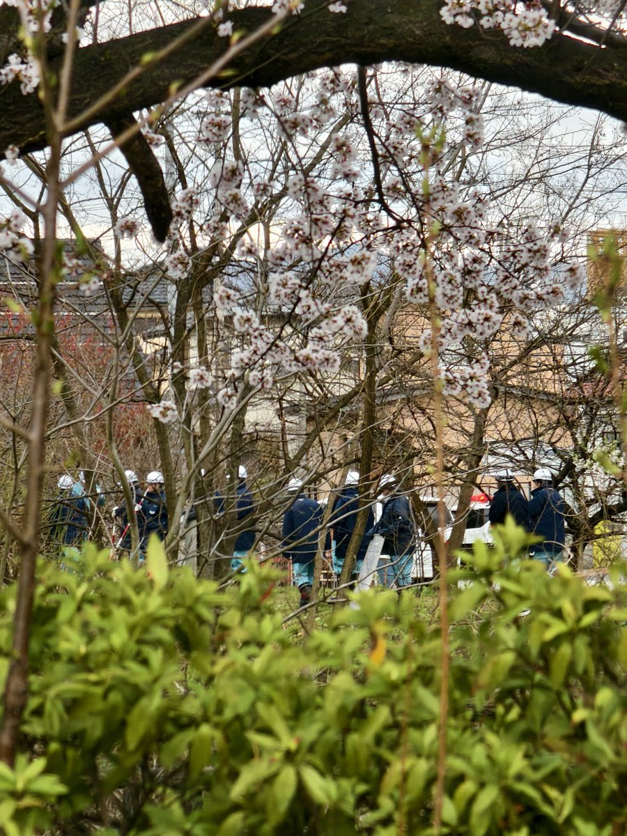 OSKおすけ 8 Gen 16 tweet media