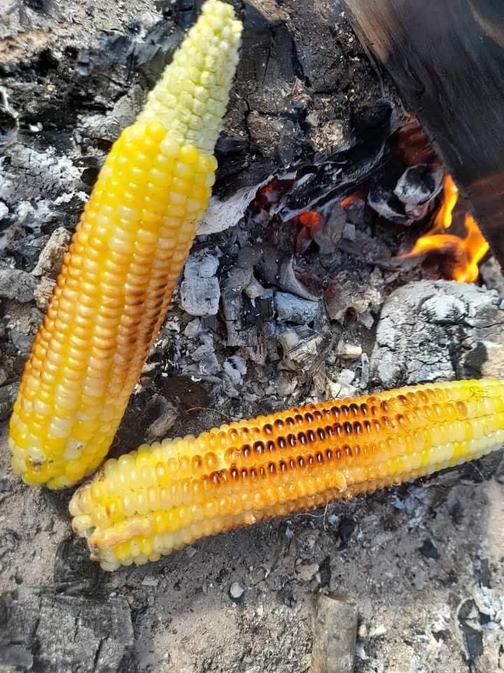 Farm With Fred tweet media